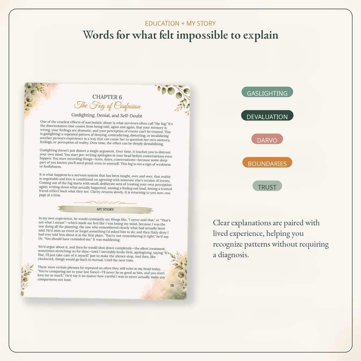 An educational poster titled 'Words for what felt impossible to explain' with a sample page from 'Chapter 6: The Try of Confusion' on the left, and five colored labels on the right: Gaslighting, Devaluation, Darvo, Boundaries, and Trust. The layout is clean and centered on a light beige background.